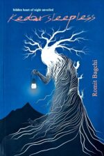 Hidden Heart of Night Unveiled Kedar Sleepless